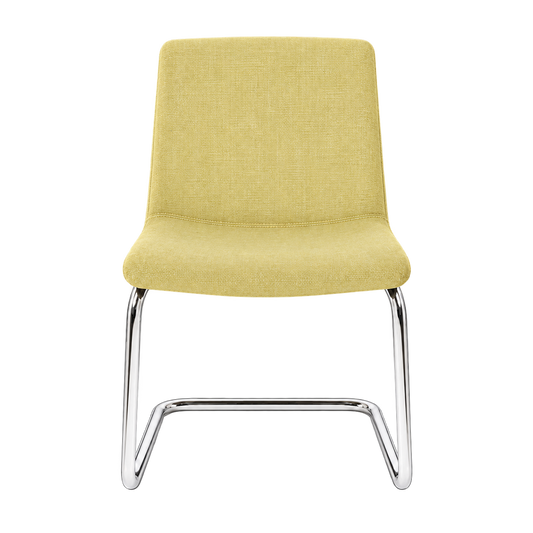 Vintage lemon cover