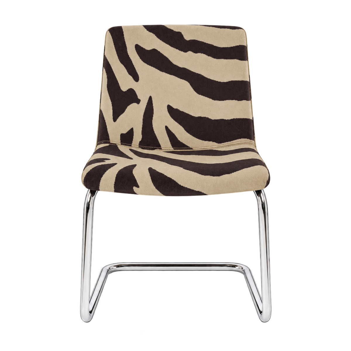 Zebra cover