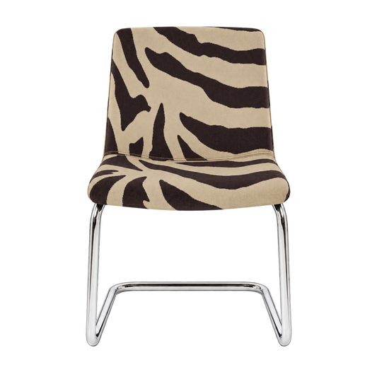 Zebra cover